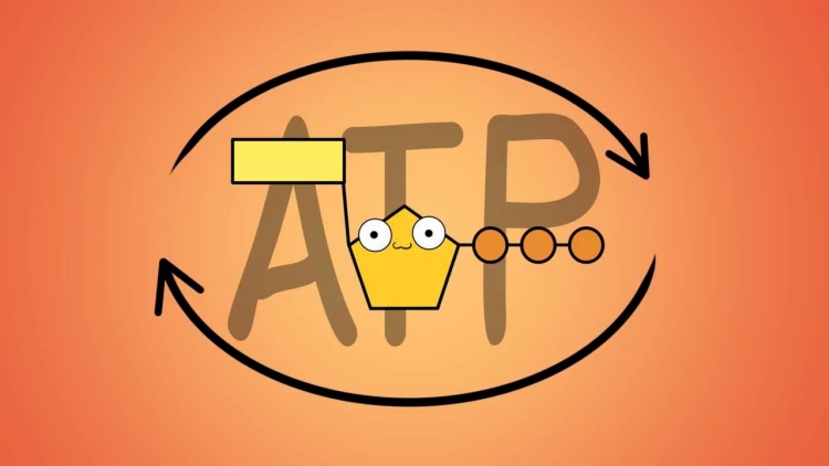 ATP快速熒光檢測(cè)儀是一種高效、準(zhǔn)確、易操作的設(shè)備